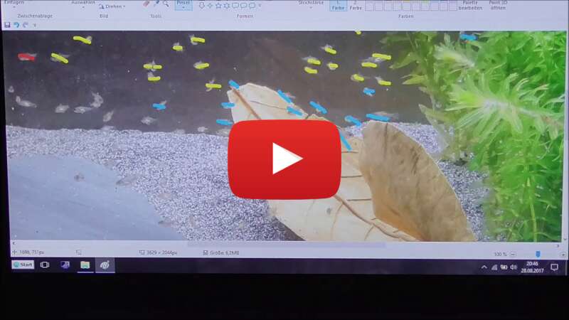 Video bucTCr6GLhA abspielen