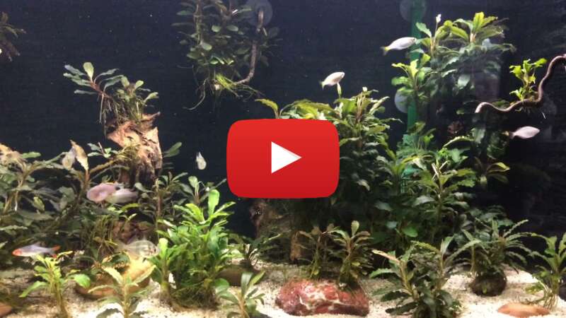 Video byC6ShFvLWk abspielen