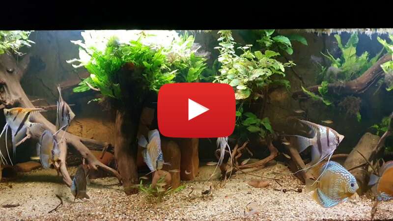 Video c2N0sEOlq6A abspielen