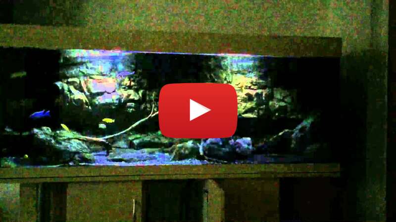 Video c3FuXY3oHsc abspielen