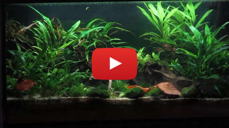 Video c7jHGaoBrDk abspielen