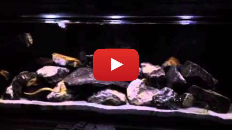 Video deFtEQiLGJU abspielen