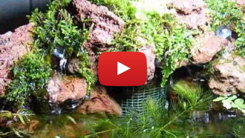 Video dfRC1uxq_BY abspielen