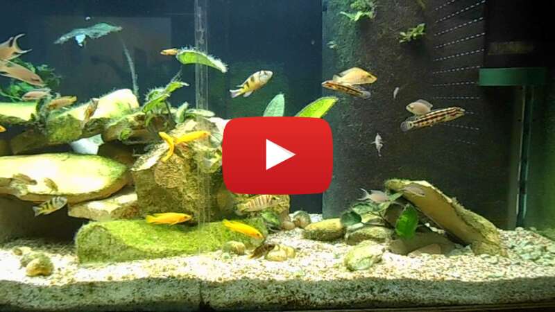 Video dg7w5jwDugw abspielen