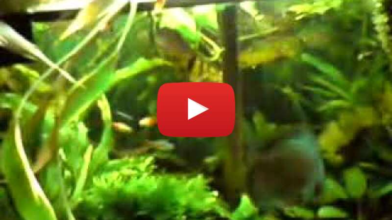 Video dyi8Ce-28nI abspielen