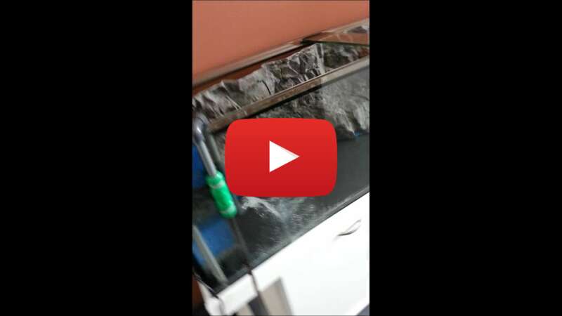 Video eR5k04JJNhg abspielen