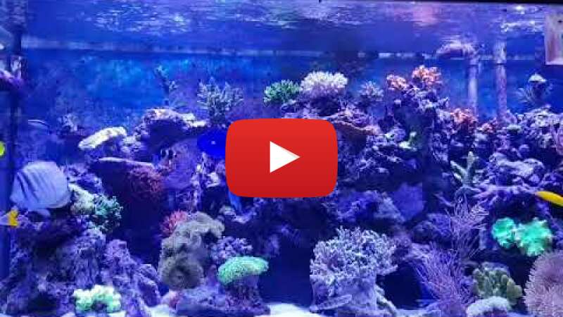 Video eXPcuR7jwSs abspielen