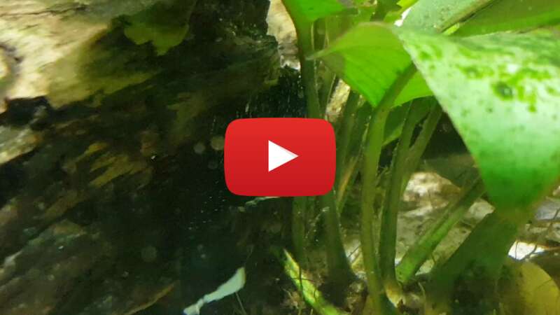 Video eYBn8ffgmOY abspielen