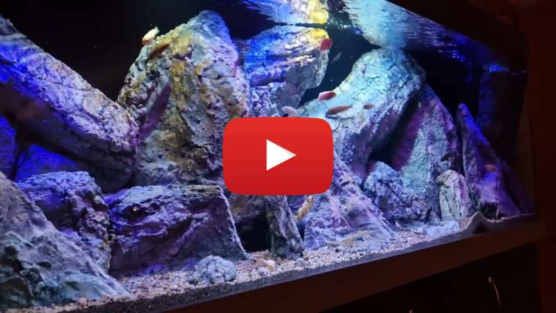 Video eySZwU2Lb-I abspielen