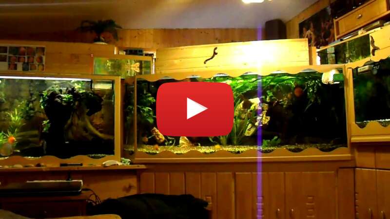 Video fUf8gN9LYjU abspielen