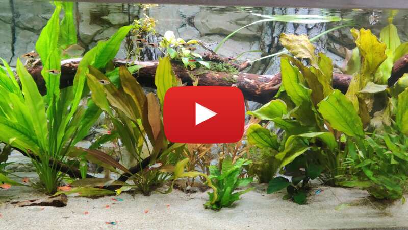 Video fUrvjKO5MSQ abspielen