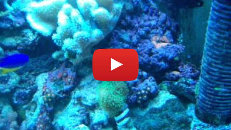 Video fXyJtGYupPg abspielen