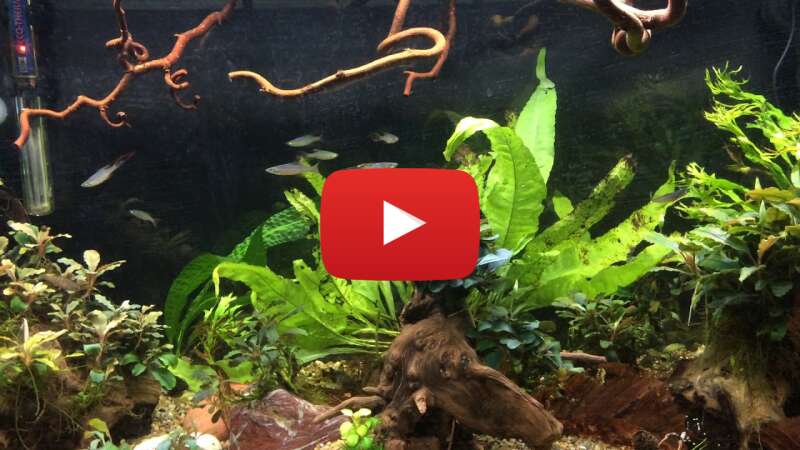 Video fgs-PMD4YR0 abspielen