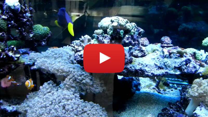 Video fl47kGea_2k abspielen