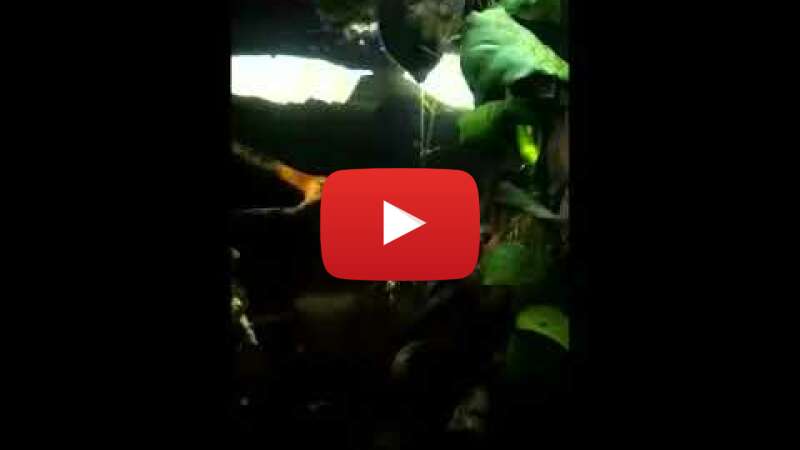 Video g0CMbNHfjOg abspielen