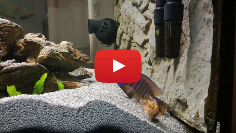 Video gi-vNCRzFvw abspielen