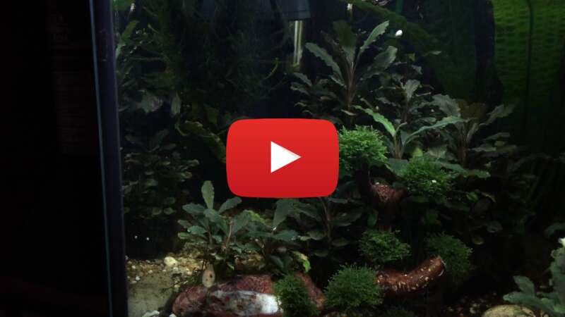 Video h6DvNBzPCYA abspielen