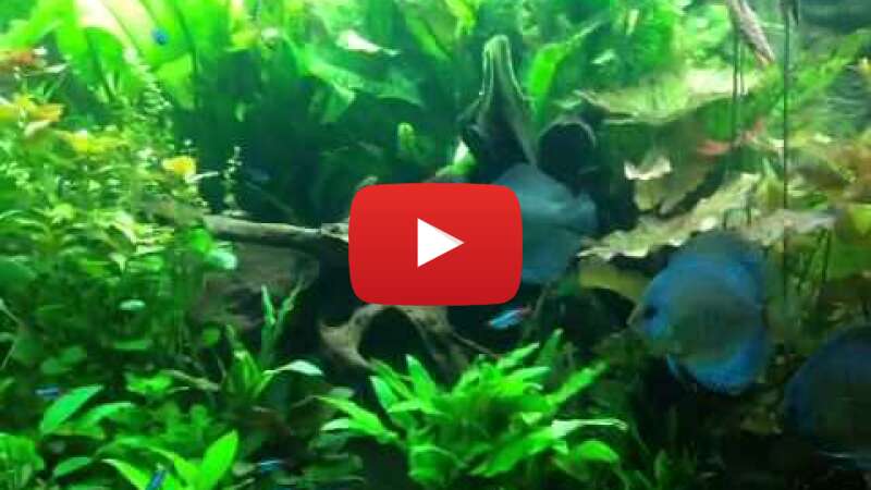 Video hIyp9U3OQ6g abspielen