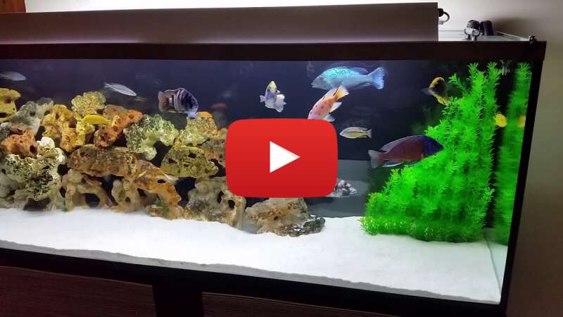 Video hgUbe1vcK1o abspielen