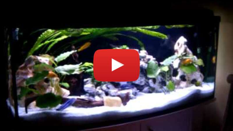 Video hieit2s_y0k abspielen