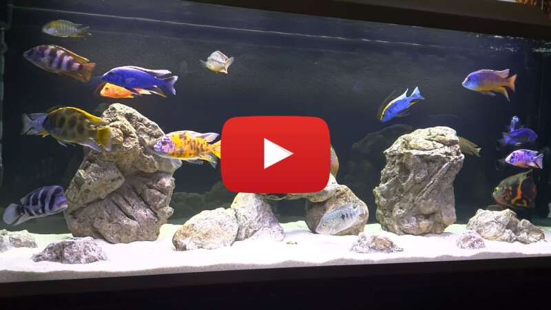 Video hqSBJAMSK9k abspielen