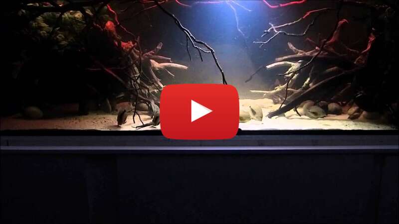 Video hrINFKZp33Q abspielen