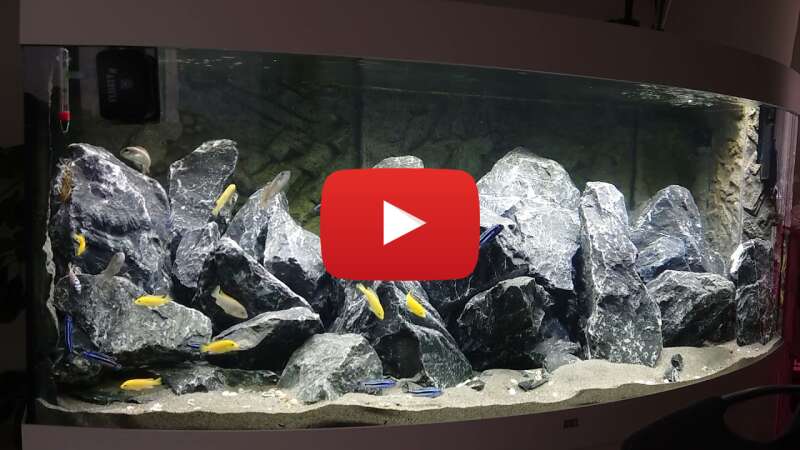 Video i6VAv4BVWak abspielen