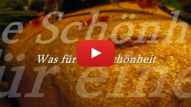 Video iLPjoCBRoM0 abspielen