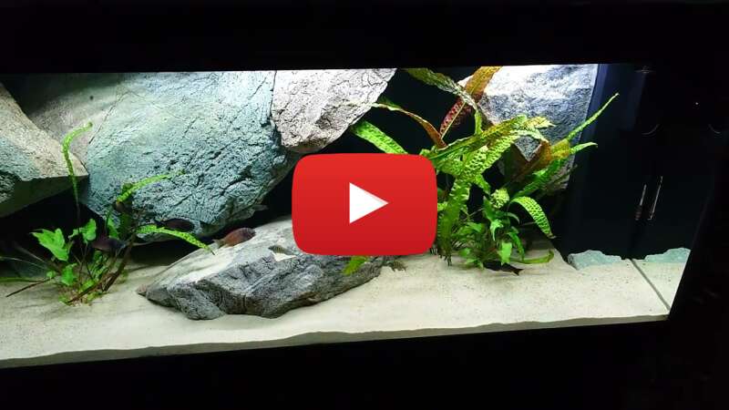 Video ilT45NI0imk abspielen