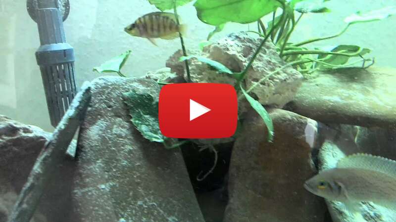 Video jXSK6L2Imbg abspielen