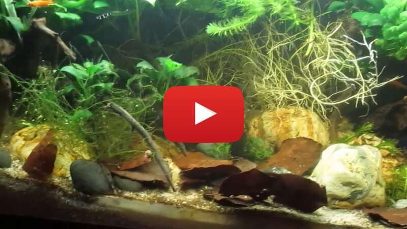 Video jq2qrxKyL-0 abspielen