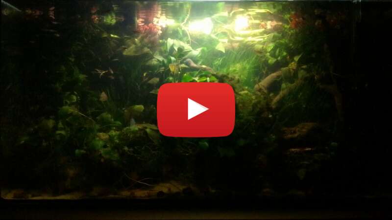 Video jw3Hl4RDx2w abspielen