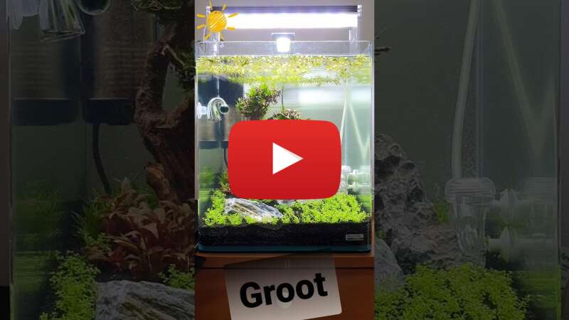 Video kJRDjOndCQw abspielen