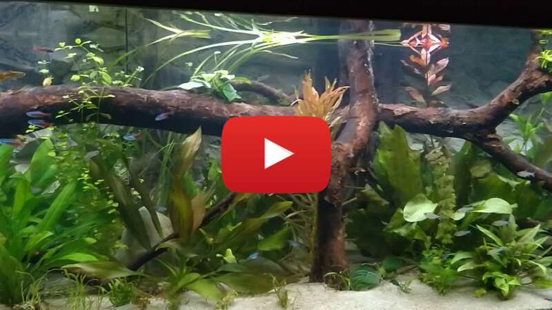 Video kKNxS7ezT4M abspielen