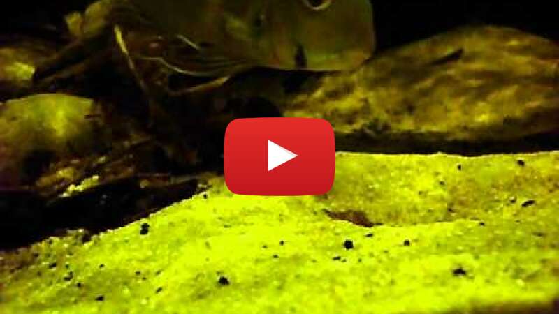 Video km7959GNiLM abspielen