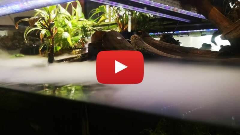 Video koXzLgRwVkw abspielen