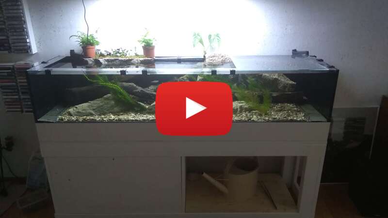 Video ksTLqsMPU-Y abspielen