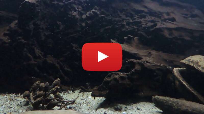 Video kxuH7E9WHqU abspielen