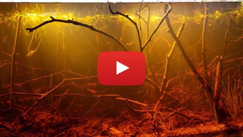 Video l5Ht1PrxtJY abspielen