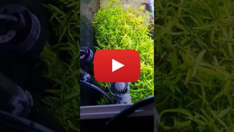 Video lFY42PJiWIA abspielen