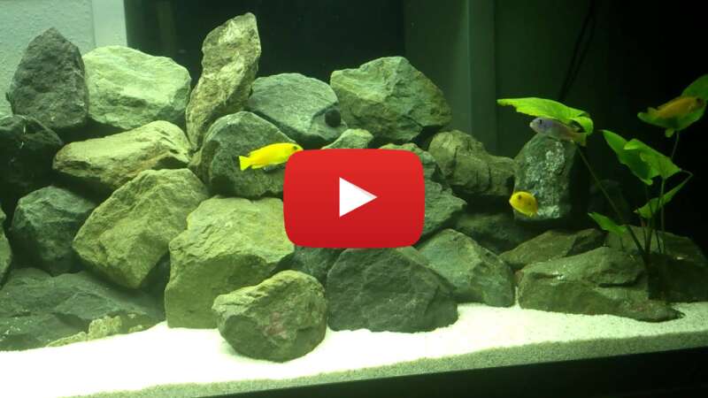 Video lOA79S7uWyo abspielen