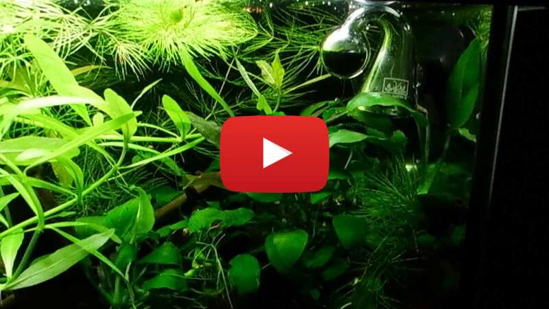 Video lOOXPeoesjw abspielen