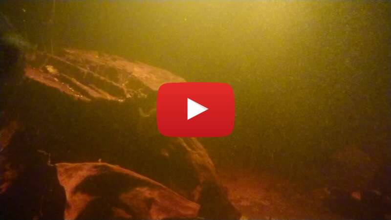 Video lS10P0Oih3k abspielen