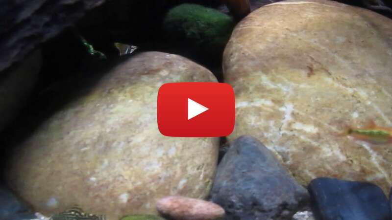 Video lhSAfXb7NV4 abspielen