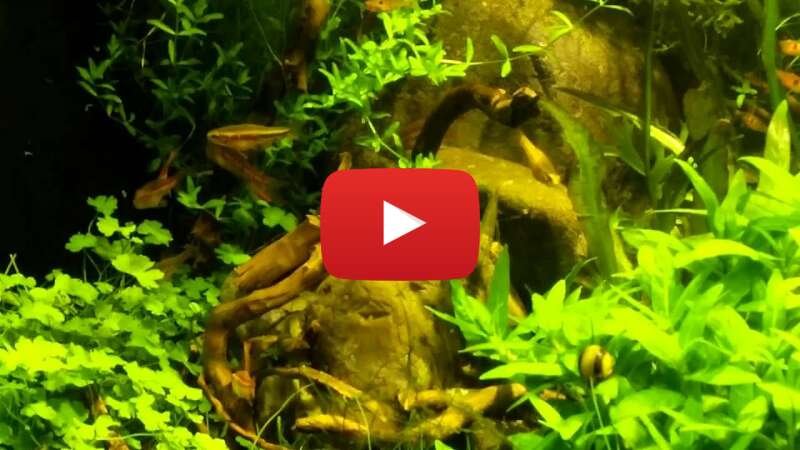 Video lmbykTuZOg4 abspielen