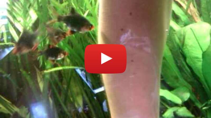 Video mVyjxX-7uis abspielen