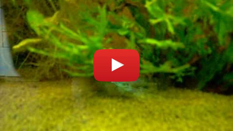 Video mqPZRY28xcw abspielen