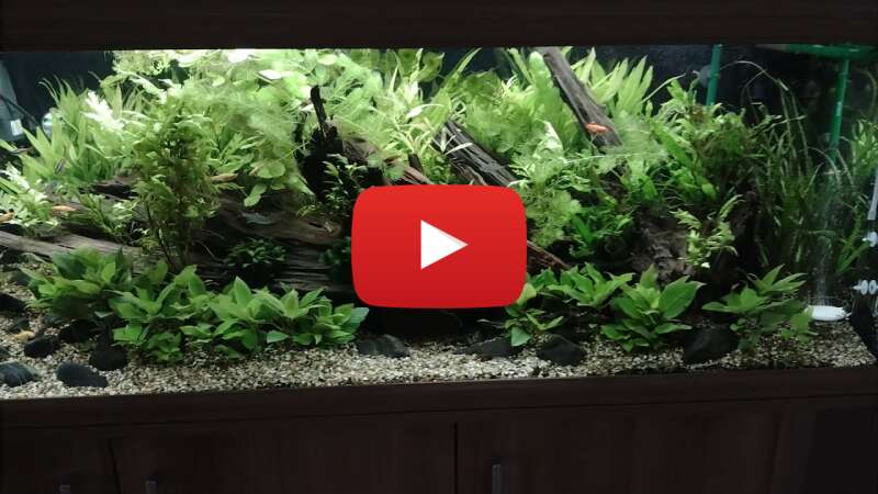 Video nZ9B2jsqE10 abspielen