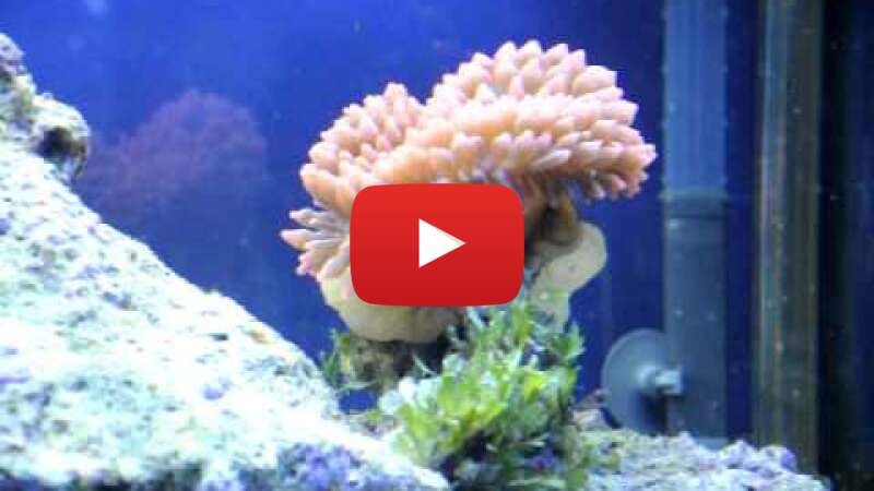 Video na3XpbvwmG4 abspielen