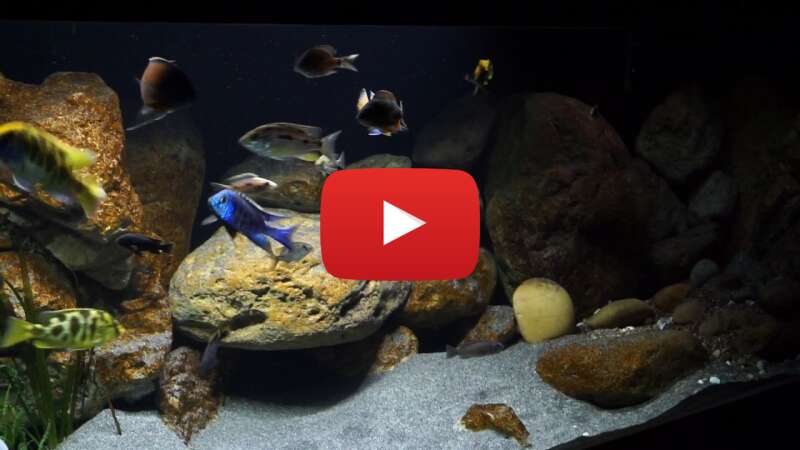 Video nb7IQF6g3-w abspielen